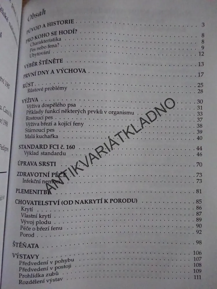 IRSKÝ VLKODAV, VLADIMÍRA JESTŘÁBOVÁ, CHOVÁME PSY, **an