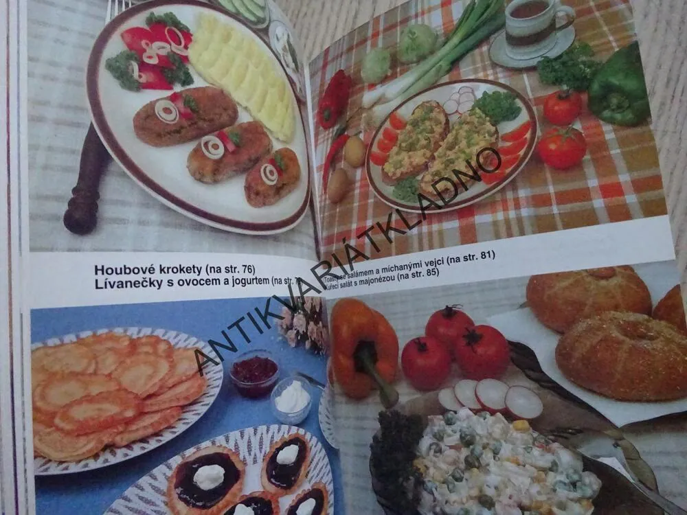 VEČEŘE PRO VŠEDNÍ DEN, **an