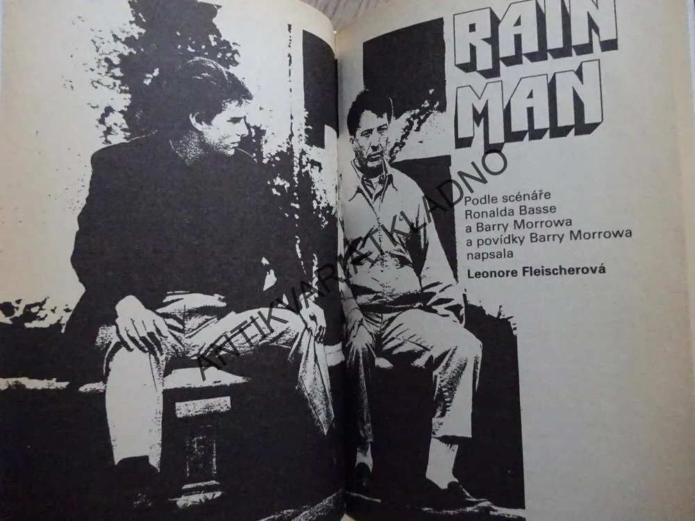 RAIN MAN, **an