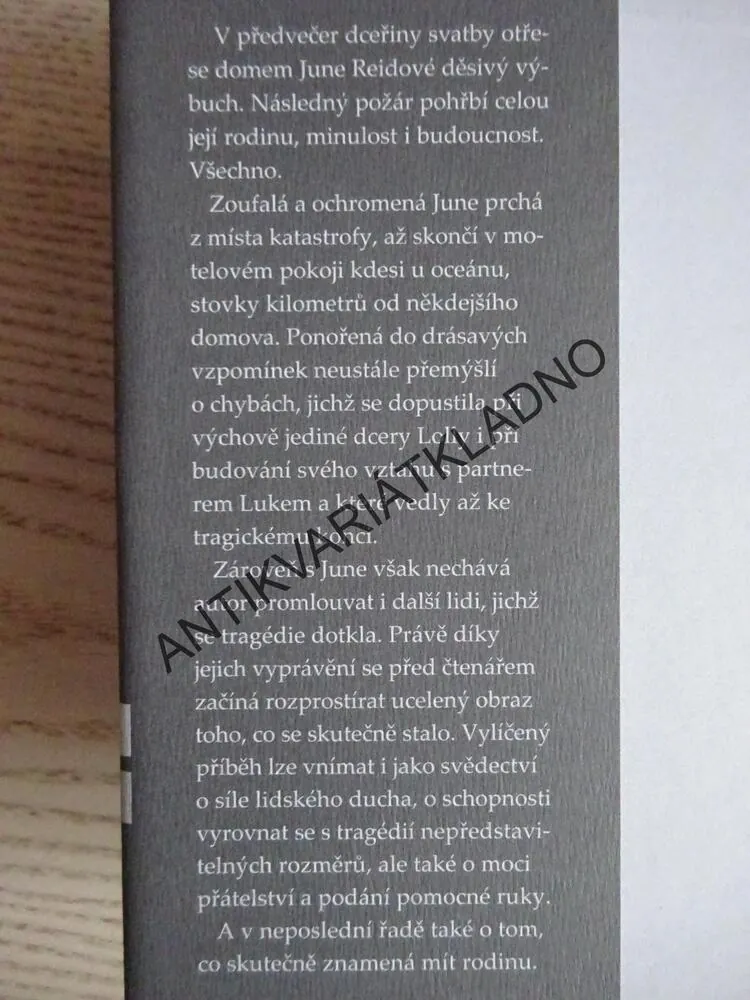 MĚLA JSI VŮBEC NĚKDY RODINU?, BILL CLEGG, **an