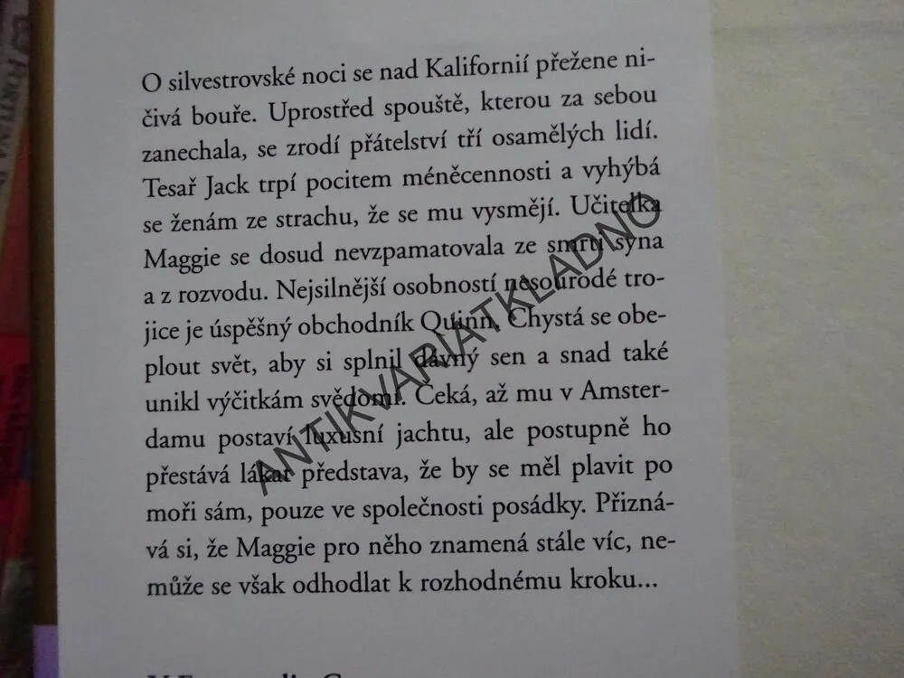 ZÁZRAK, DANIELLE STEELOVÁ, **an