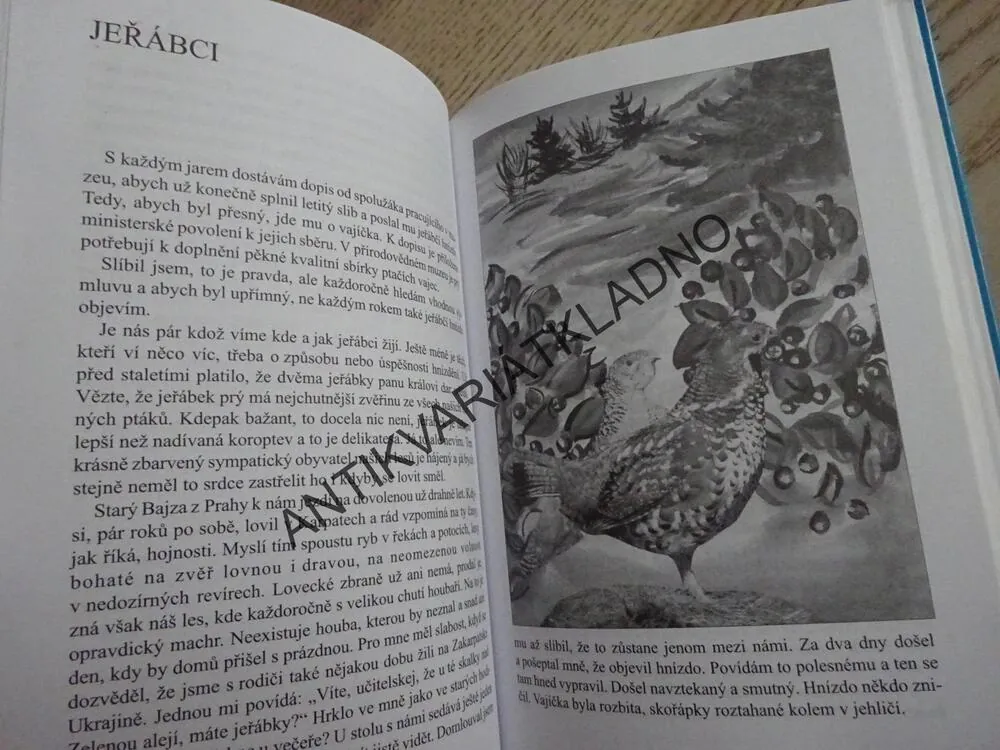 PTAČÍ MLÝN, OTA BOUZEK, **an