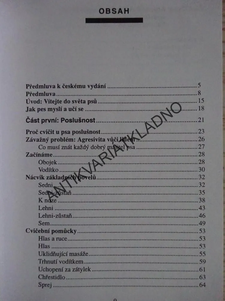 HODNÝ PES NEMOŽNÉ CHOVÁNÍ, JEANNE CARLSON, RANNY GREEN, **an