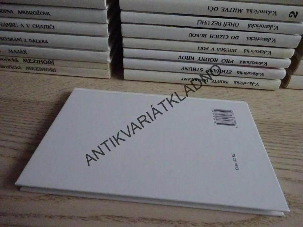 PO KAMENITÉ STEZCE, VLASTA JAVOŘICKÁ, **an