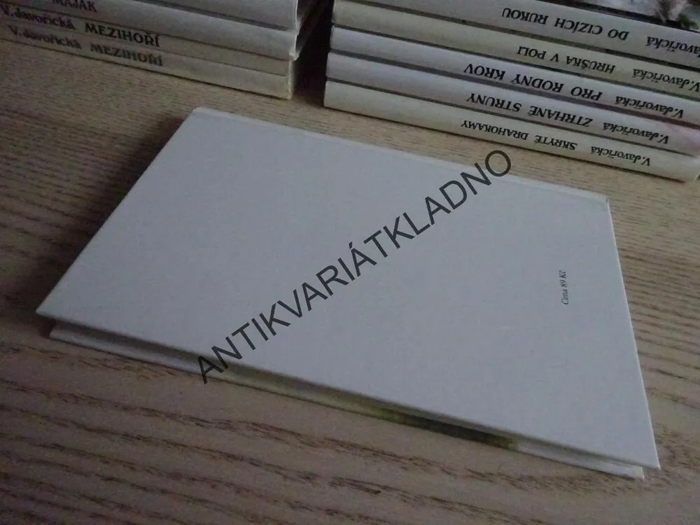 OHEŇ BEZ UHLÍ, VLASTA JAVOŘICKÁ, **an