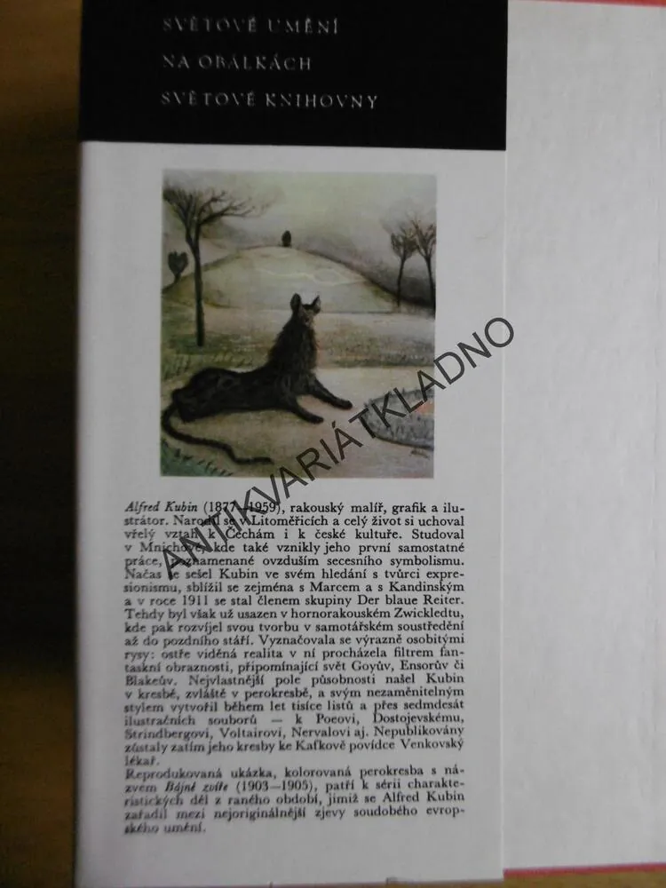 ZÁMEK, FRANZ KAFKA