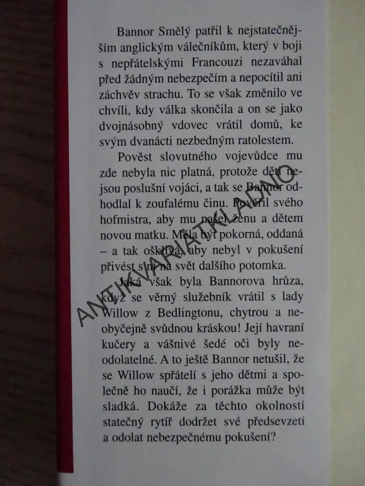 NEVINNÁ SVŮDKYNĚ, TERESA MEDEIROS, **an