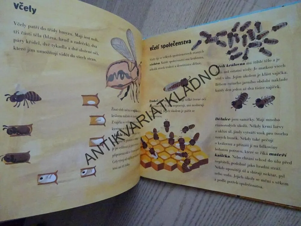 VČELAŘ, LAURIE KREBS, VALERIA CIS, **an