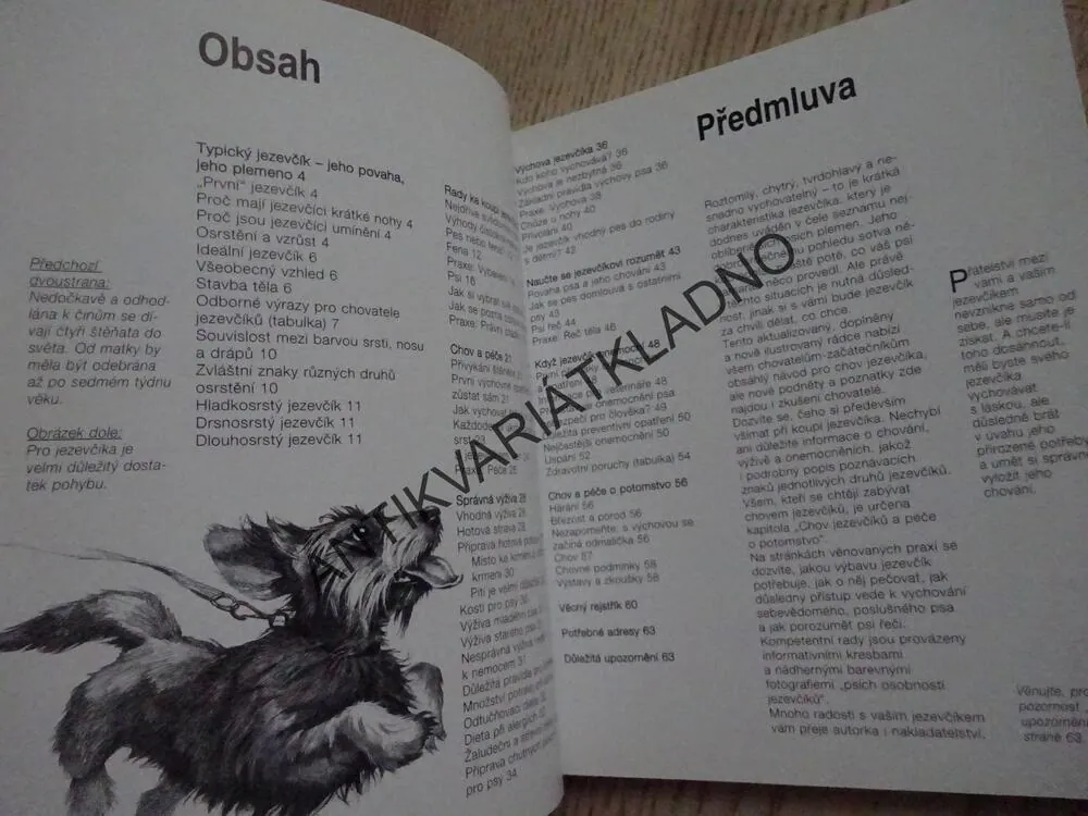 JEZEVČÍK, LENI FIEDELMEIEROVÁ, **an