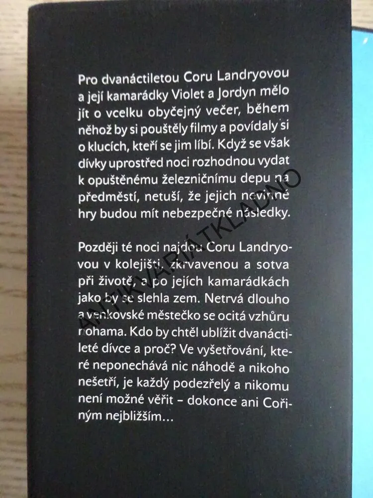 DÍVKA NA KOLEJÍCH, HEATHER GUDENKAUF, **an