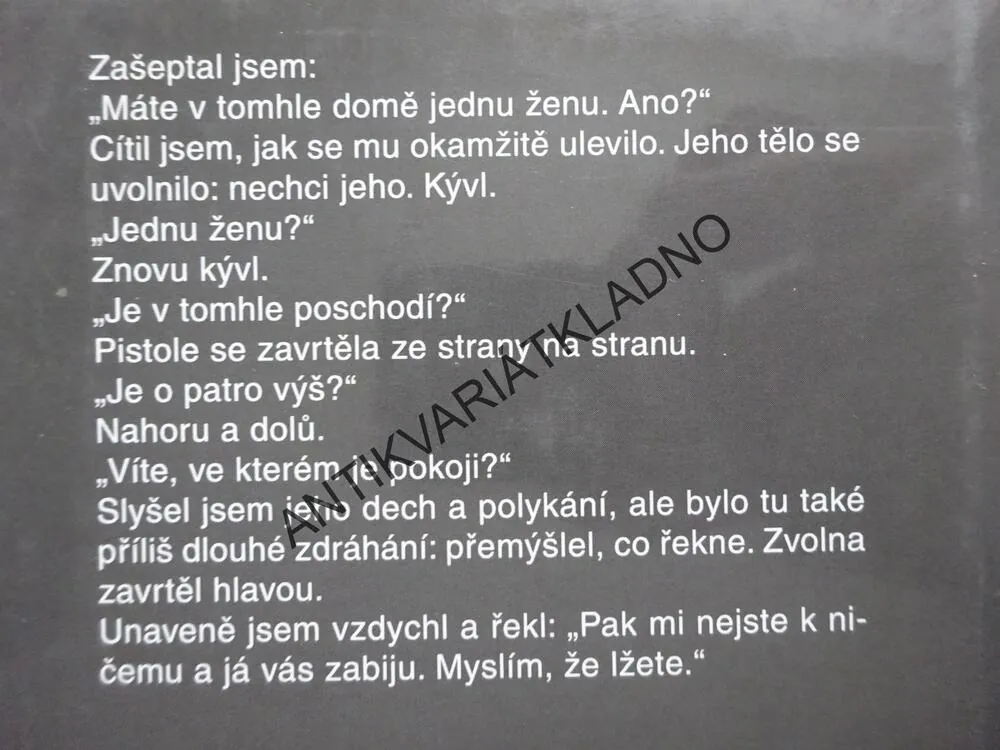 ZÁSAH V KRIZI, ANDY MCNAB, **an