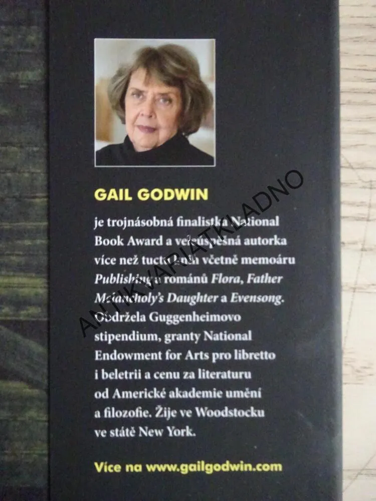 SÍDLO SMUTKU, GAIL GODWIN, **an