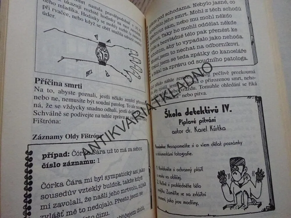 DŮVTIPNÍ DETEKTIVOVÉ, RACHEL WRIGHTOVÁ, **an