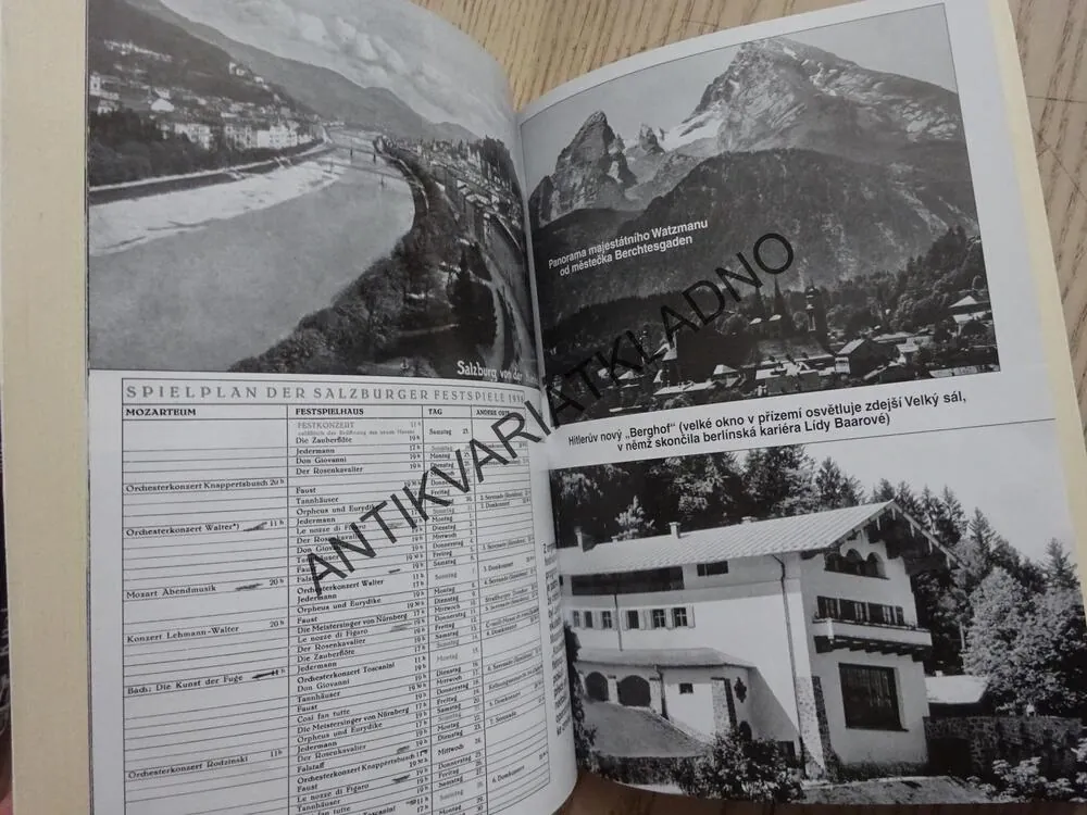 JAK TO BYLO DOOPRAVDY? BAAROVÁ, GOEBBELS, HITLER, NĚMECKÉ ARCHIVY PROMLUVILY!, VERA VOGELER, **an