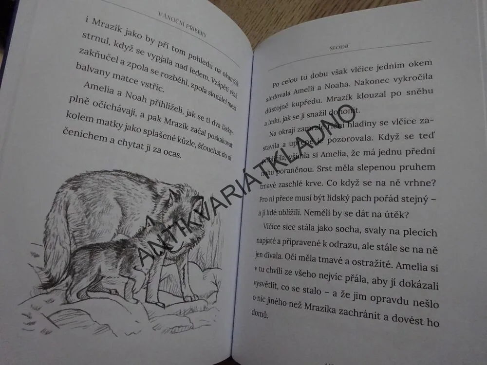 STOPA, VÁNOČNÍ PŘÍBĚHY, HOLLY WEBBOVÁ, **an
