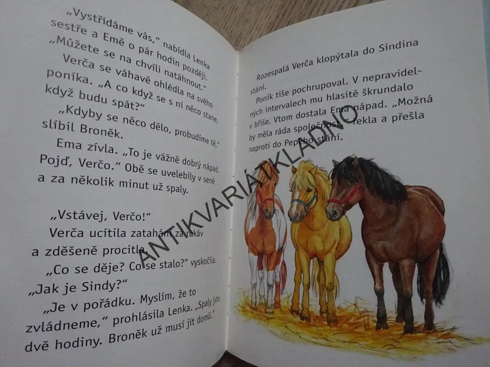 SINDY V NEBEZPEČÍ, RUTH GELLERSENOVÁ, MELANIE BROCKAMPOVÁ, **an