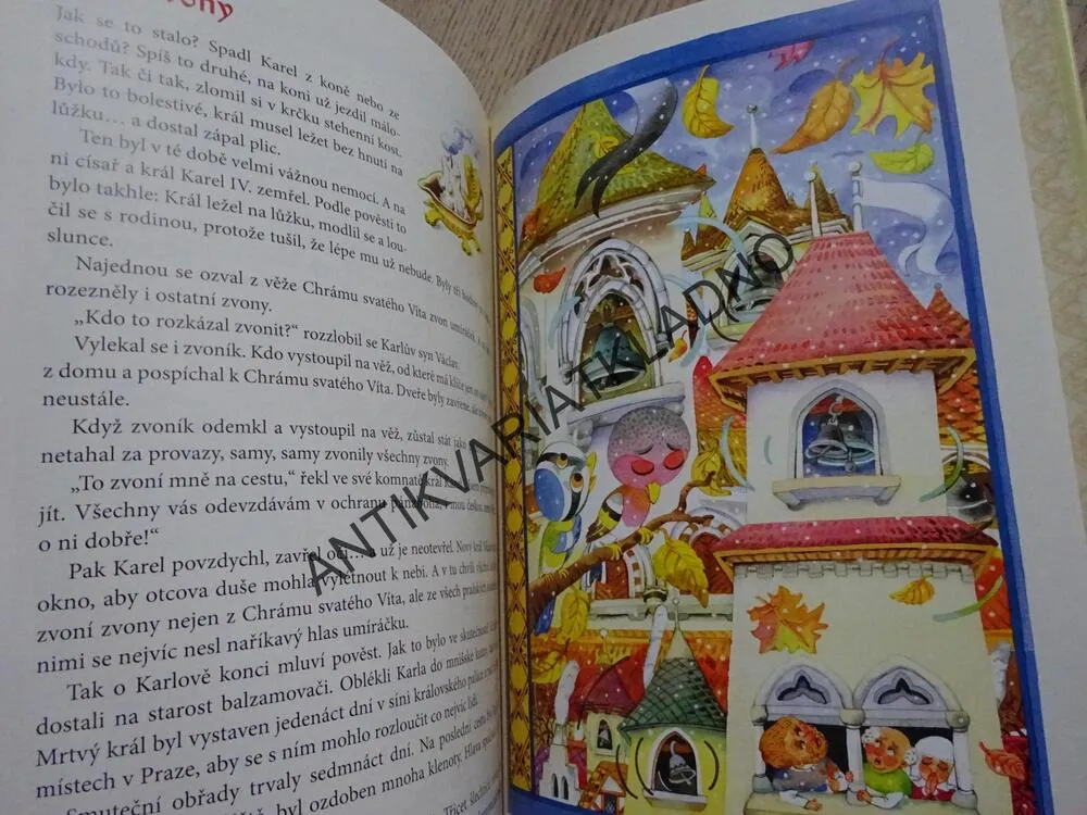 PŘÍBĚHY O KARLU IV., MARTINA DRIJVEROVÁ, **an