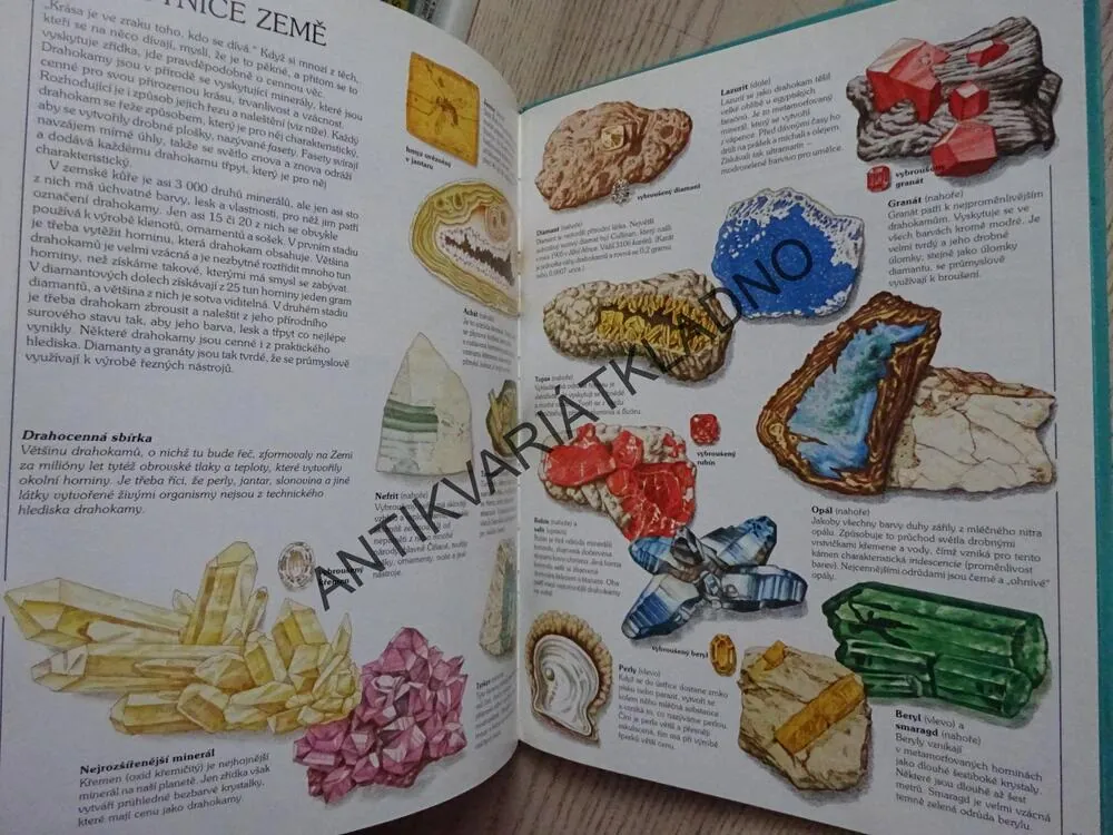 ZEMĚ A JEJÍ ČINNOST, STEVE PARKER, **an