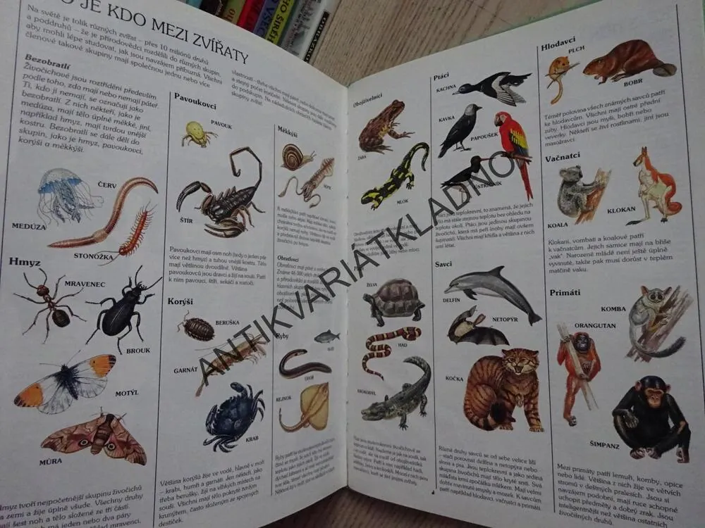 ZVÍŘATA A JEJICH SVĚT, DR. JOHN FELTWELL, **an