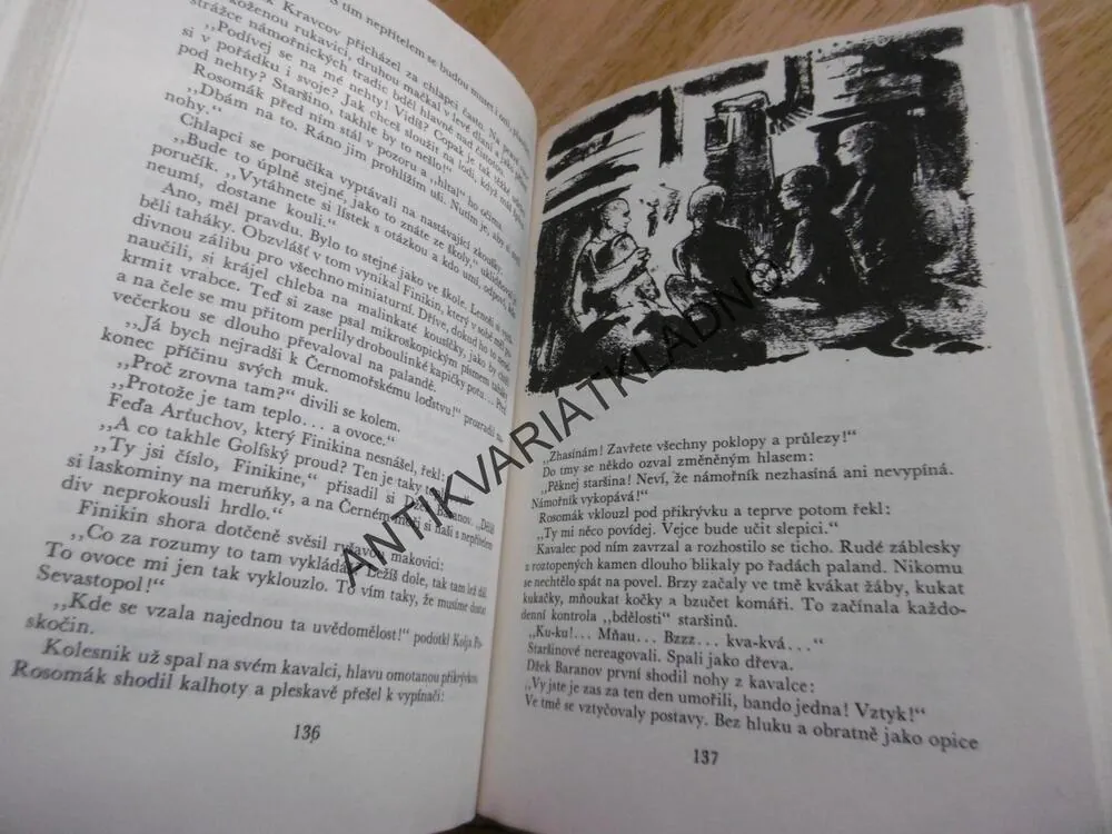 KOD 161 - ŠKOLA PLAVČÍKŮ, VALENTIN PIKUL