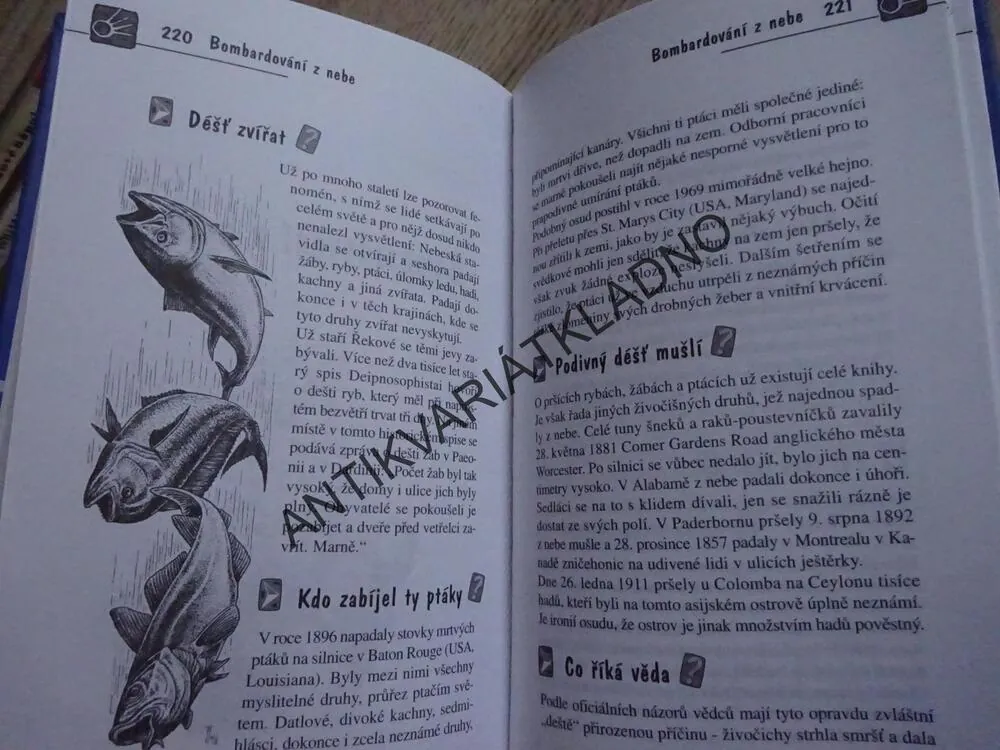1000 ZÁHADNÝCH JEVŮ, KAI HÖVELMANN, **an