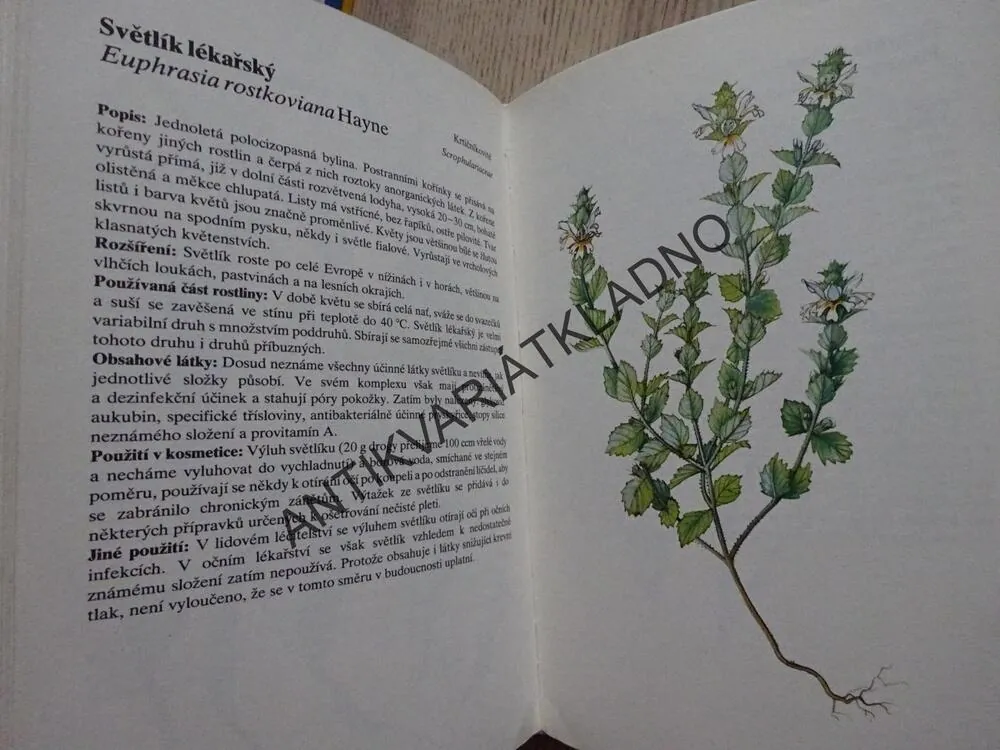 ROSTLINY V KOSMETICE, HLAVA, STARÝ, POSPÍŠIL, **an