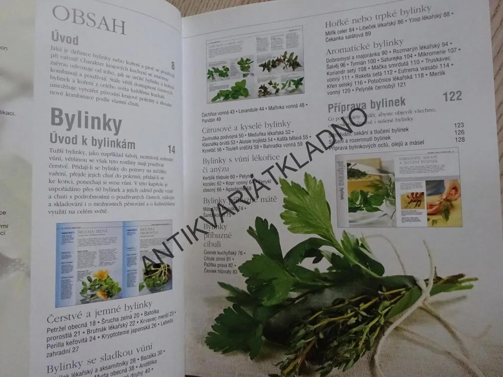 BYLINKY A KOŘENÍ V KUCHYNI, JILL NORMAN, **an