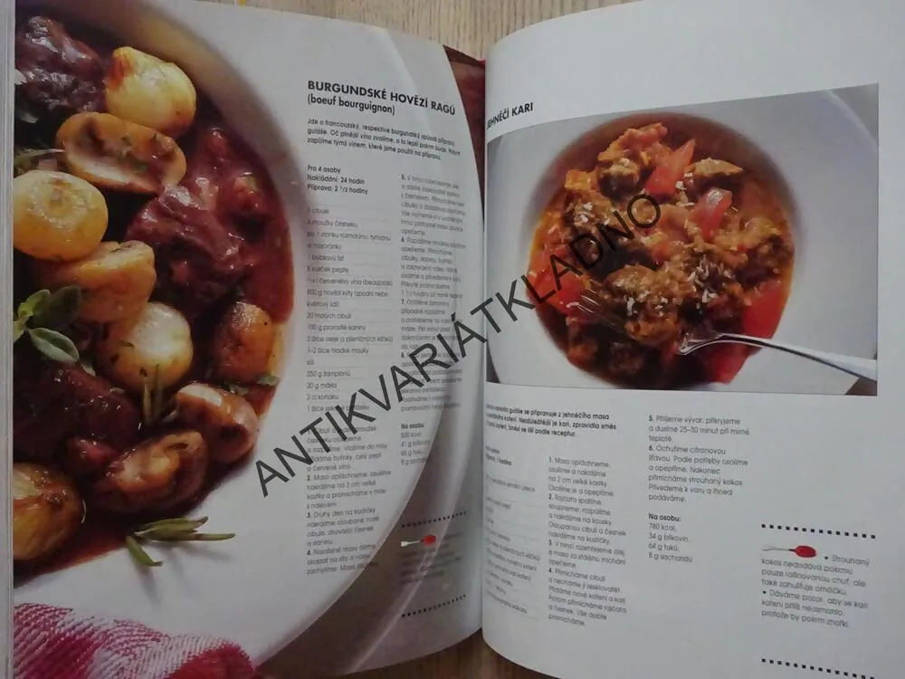 VELKÁ ŠKOLA VAŘENÍ, **an