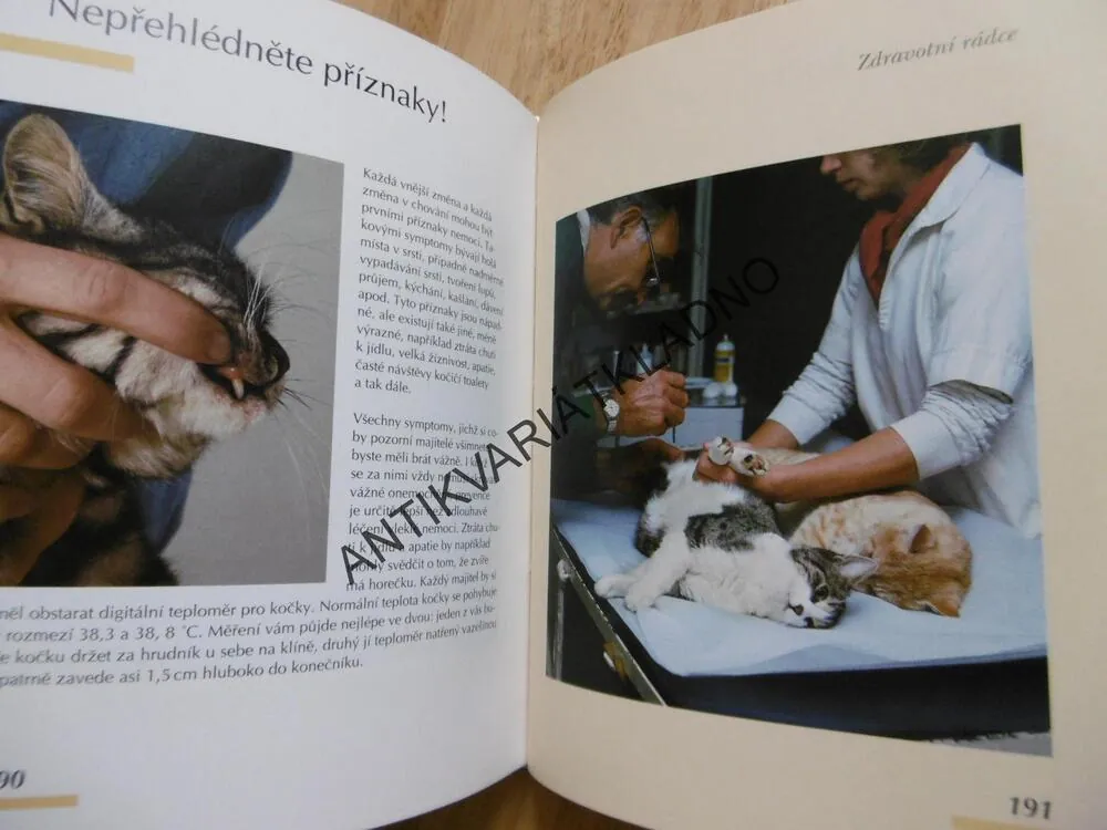 KOČKY, PÉČE PLEMENA ZDRAVÍ