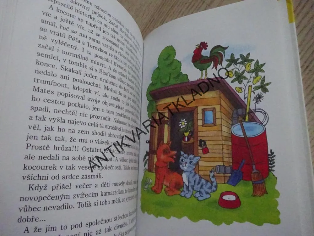 PEJSEK BĚSÍK, JAROMÍR ČERVENKA, JANA SVOBODOVÁ, **an
