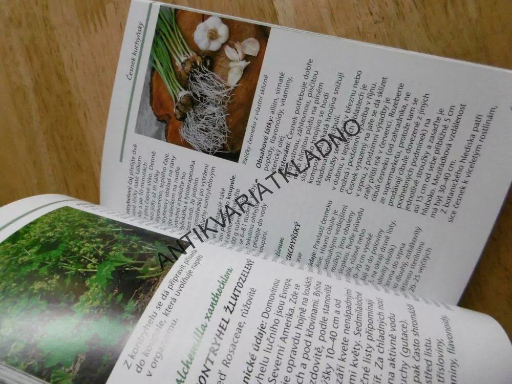 BYLINKOVÁ LÉKÁRNA, BABIČČIN RECEPTÁŘ