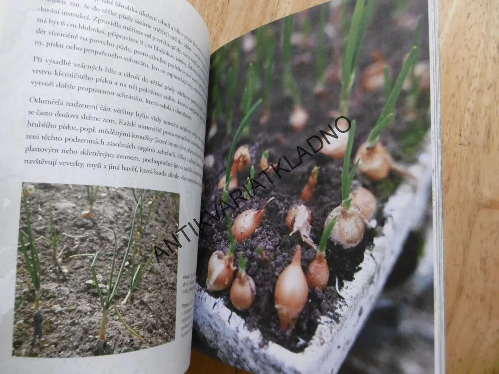 SÁZENÍ, ZALÉVÁNÍ HNOJENÍ, BOB FLOWERDEW