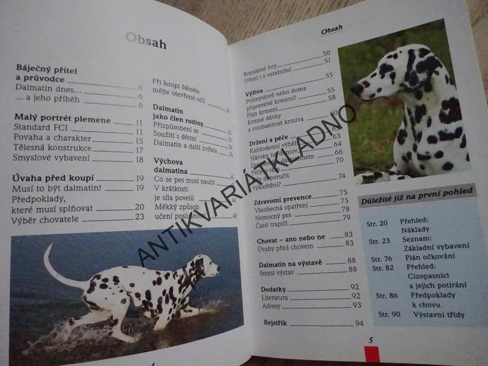 DALMATIN, HORTS BIELFELD, **an