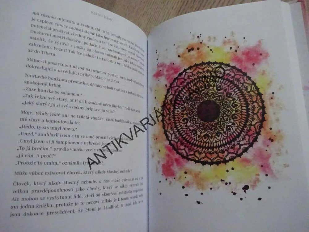 KOKTEJL ŠTĚSTÍ, IVA LECKÁ, **an
