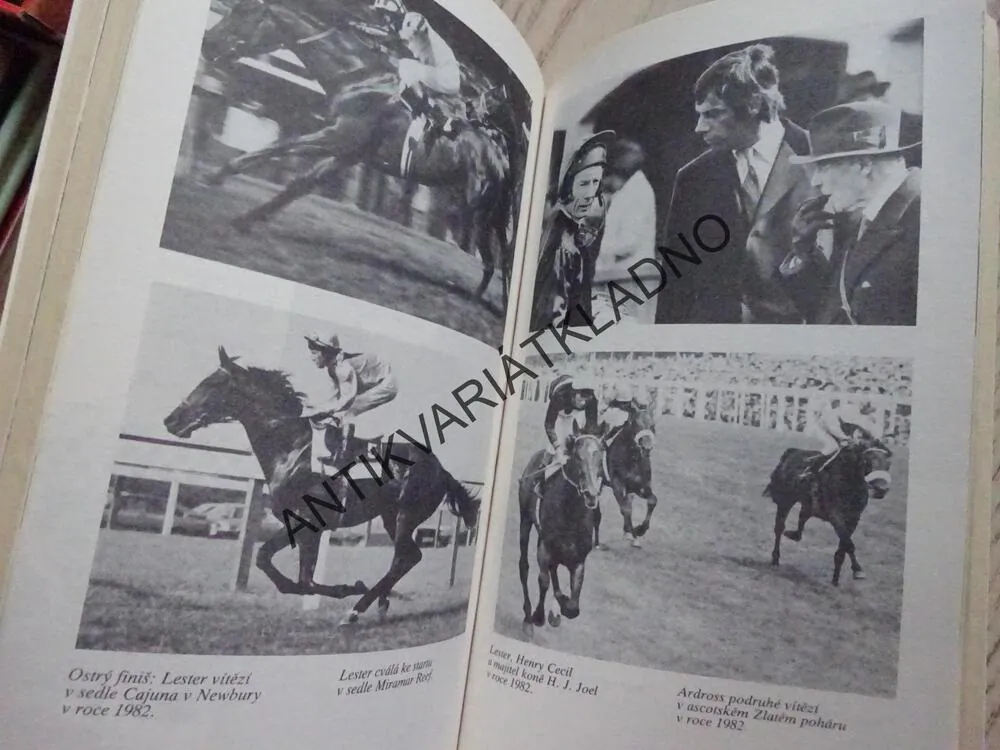 SPORT KRÁLOVEN, DICK FRANCIS,**an 
