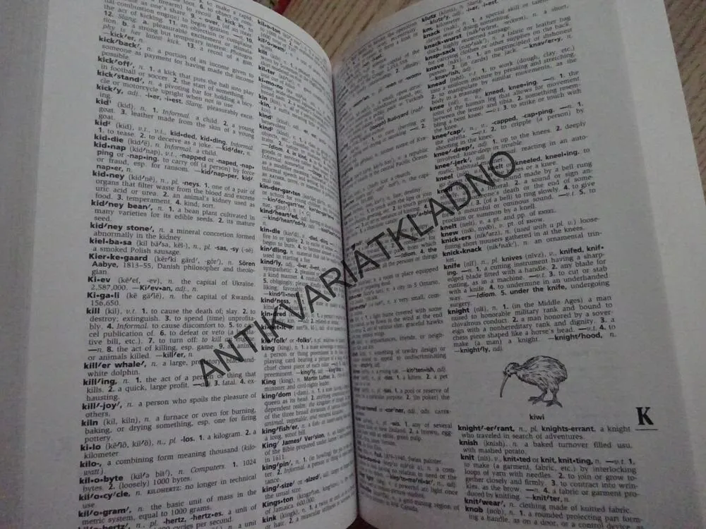 SCHOOL AND OFFICE DICTIONARY, ŠKOLNÍ A KANCELÁŘSKÝ SLOVNÍK, WEBSTER, **an