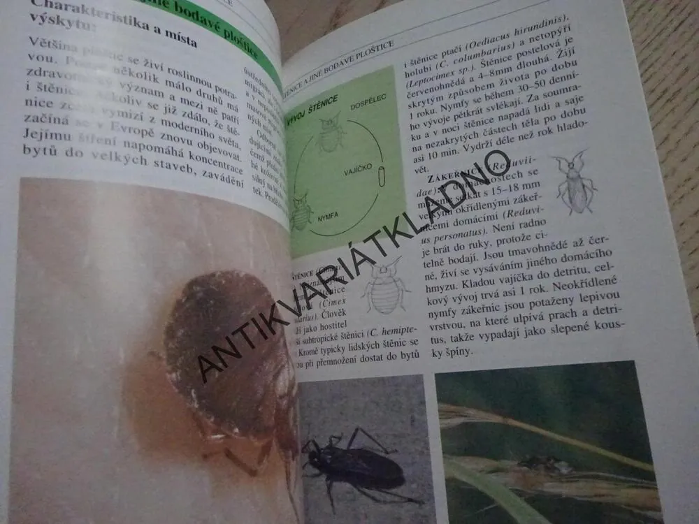 KLÍŠŤATA, KOMÁŘI, BLECHY, VOSY A JINÍ BODAVÍ ŠKŮDCI OHROŽUJÍCÍ ZDRAVÍ, VÁCLAV STEJSKAL, **an
