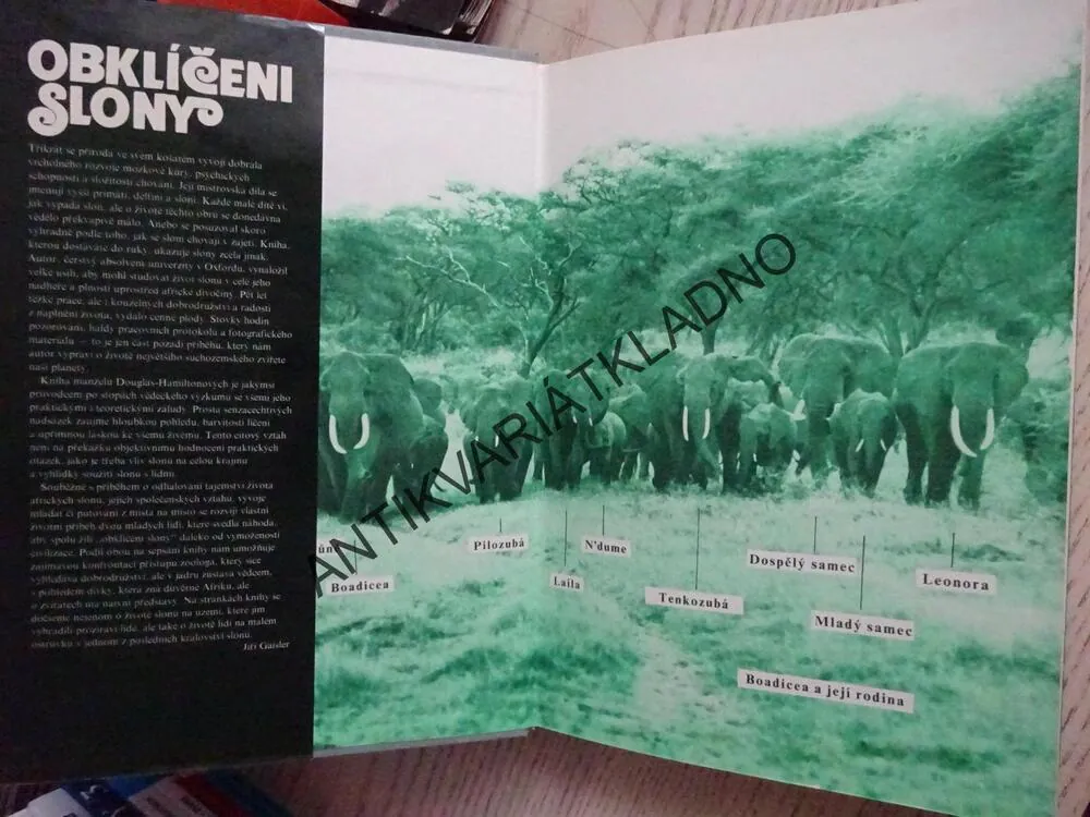 OBKLÍČENI SLONY, DOUGLAS-HAMILTONOVI, **an