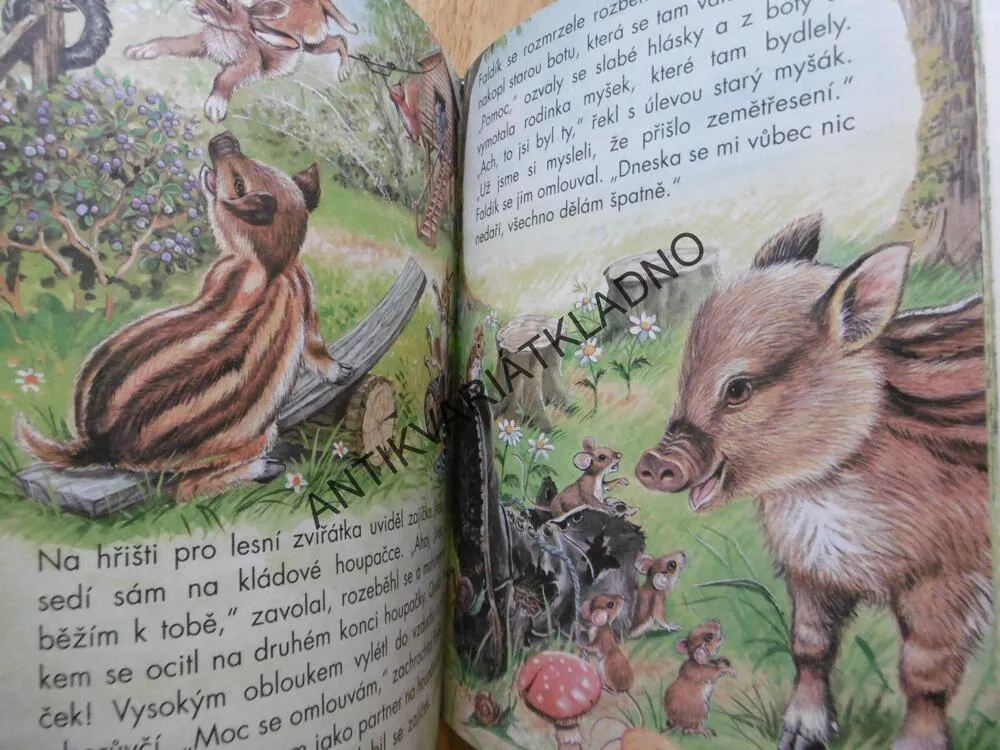 SVĚT ZVÍŘÁTEK, KOČKA, PES, SLEPICE, ZAJÍCI AJ., **an