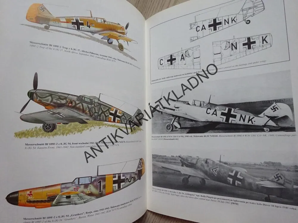 MESSERSCHMITT BF 109 COLOR, POLSKY