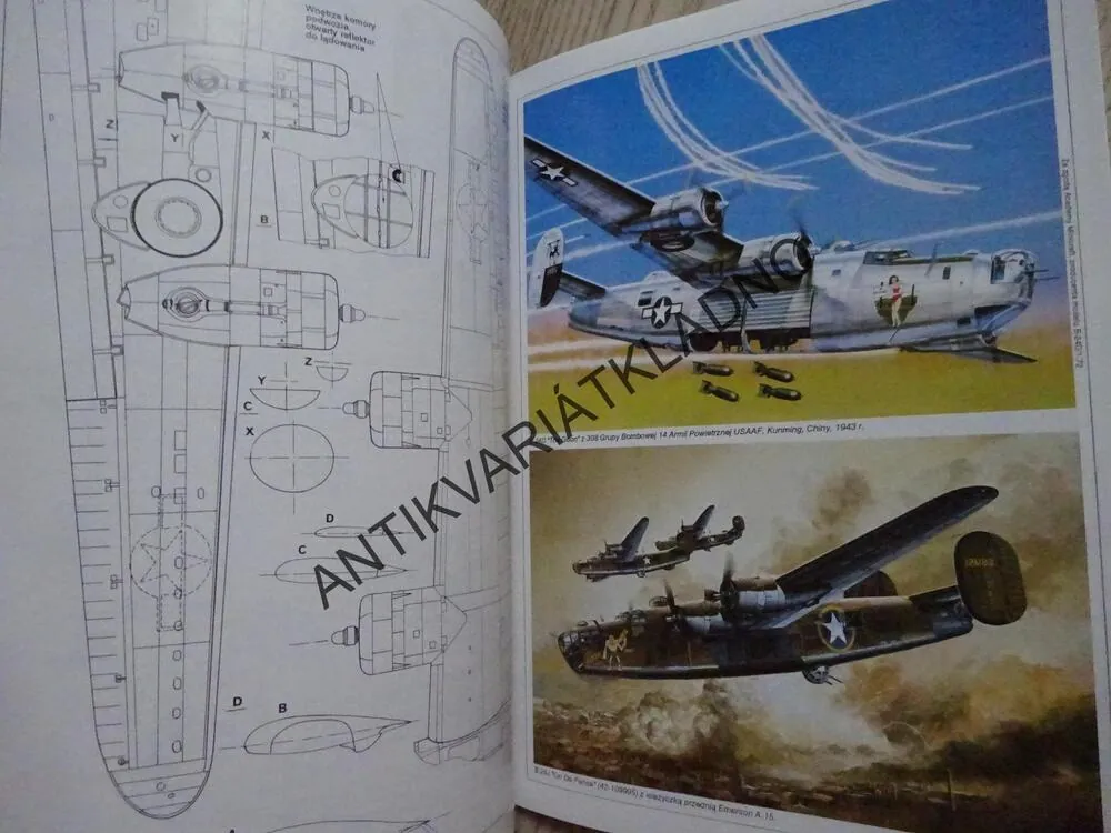 B-24 LIBERATOR, POLSKY