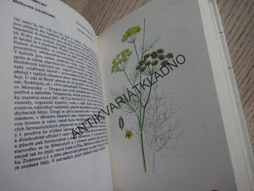 KAPESNÍ ATLAS LÉČIVÝCH ROSTLIN, VÁCLAV JIRÁSEK, FRANTIŠEK STARÝ, FRANTIŠEK SEVERA, **an