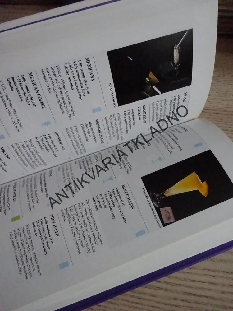 RECEPTÁŘ MISTRA BARMANA, **an