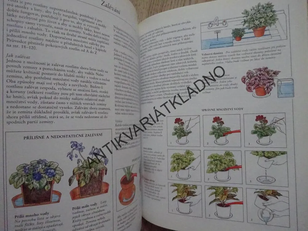 200 POKOJOVÝCH ROSTLIN PRO KAŽDÉHO, RICHARD GILBERT, **an