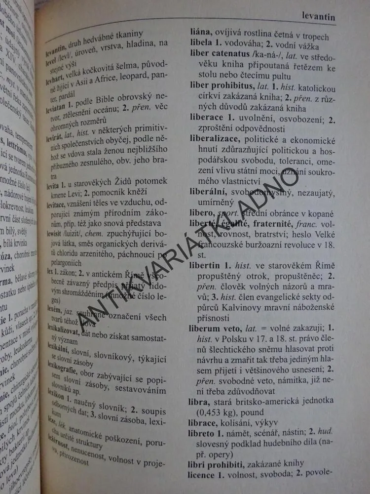 SLOVNÍK CIZÍCH SLOV PRO NOVÉ STOLETÍ, **an