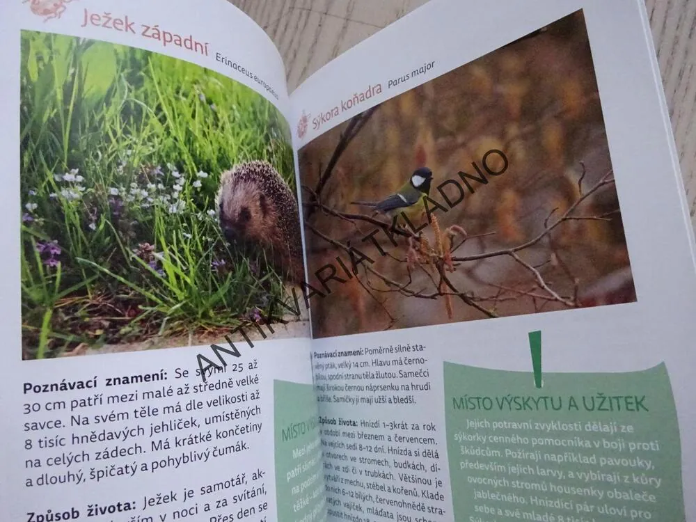 ZAHRADA PLNÁ ŽIVOTA, URSULA KOPP, **an