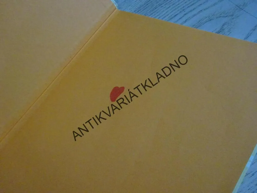 ROK PLNÝ SVÁTKŮ S MEDVÍDKEM PÚ, WALT DISNEY, **an