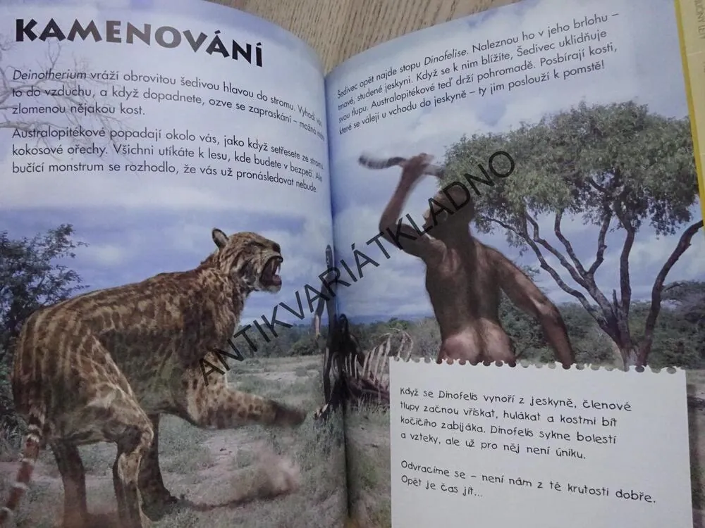 BOJ O PŘEŽITÍ, **an