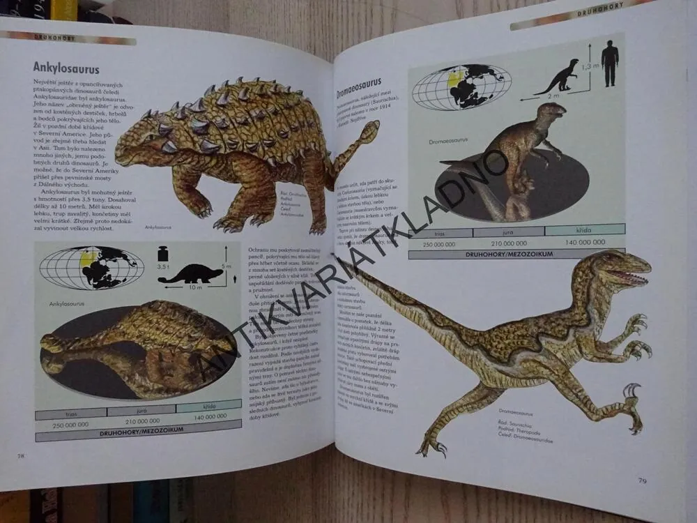 DINOSAUŘI, VĚDOMOSTI V KOSTCE, **an