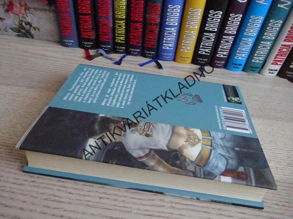 ŽELEZNÝ POLIBEK, PATRICIA BRIGGS, **an